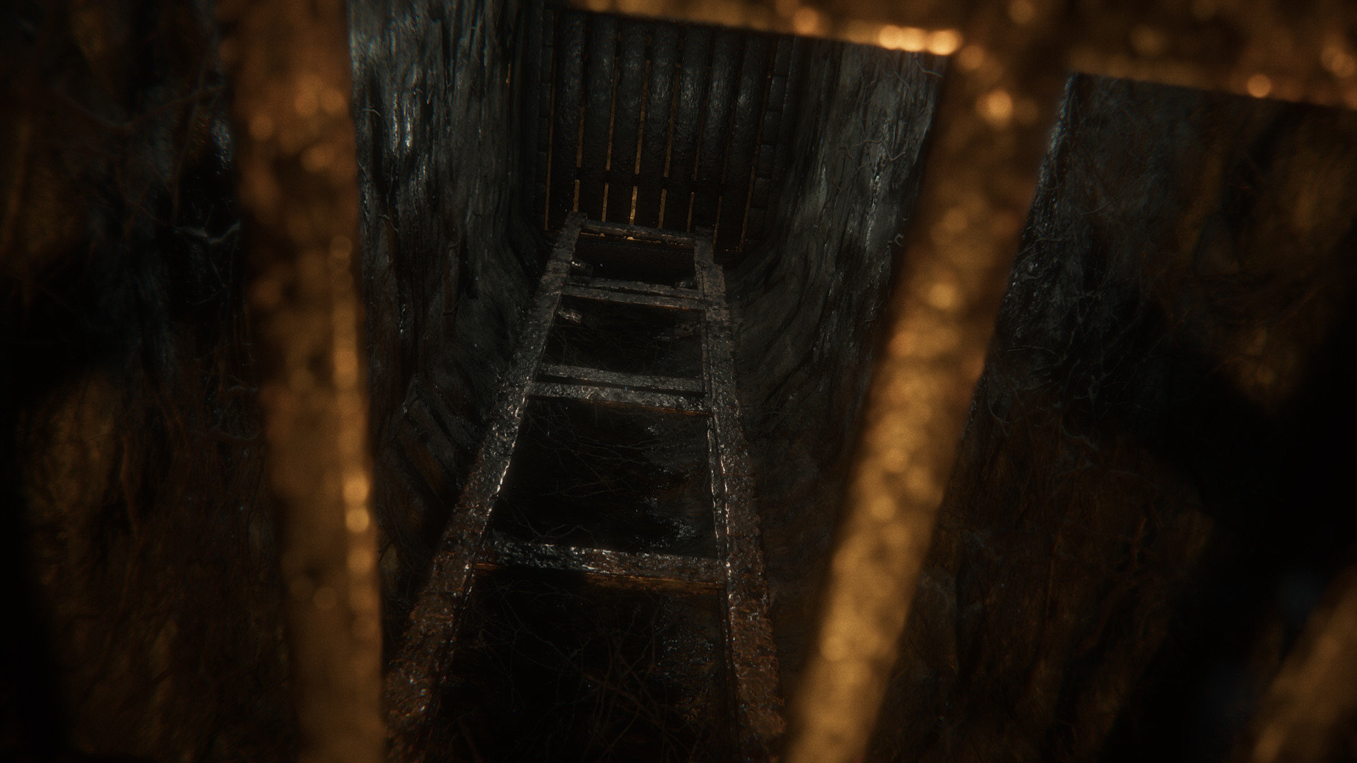 A narrow ladder descending into a dark underground passage
